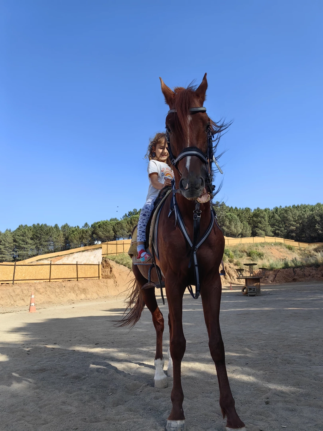 cayirova-binicilik / 15470