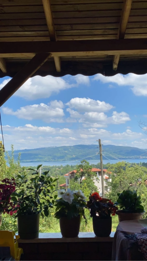 doga-sapanca-manzara-yesillik-cicek / 3596
