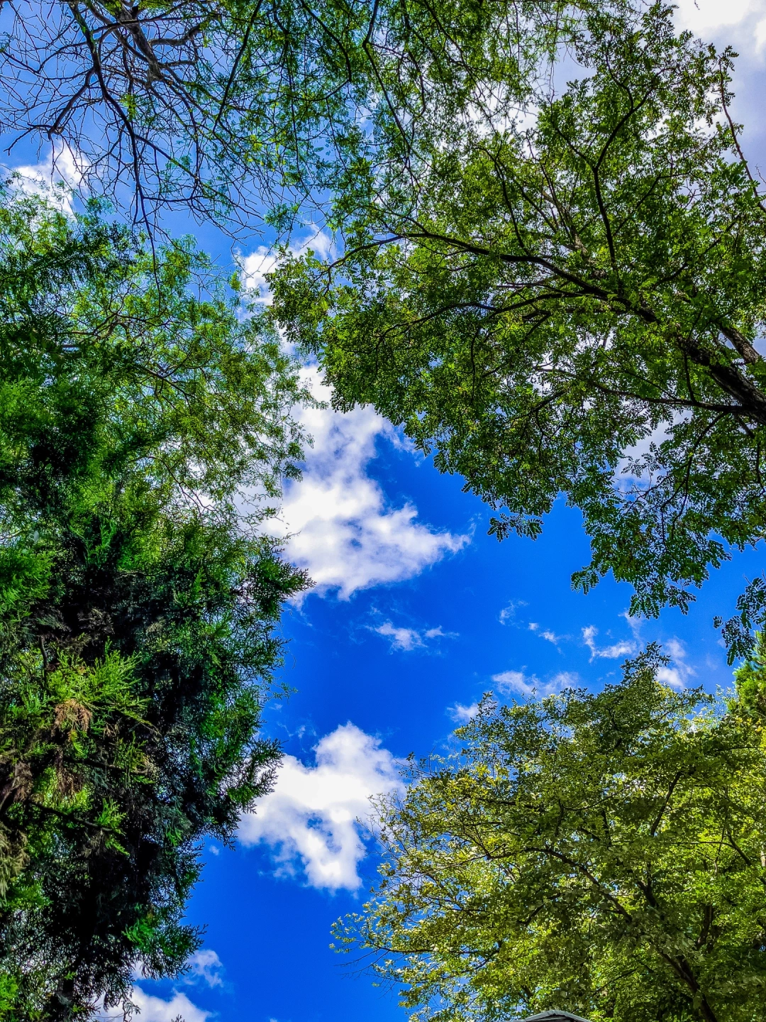 kocaeli-izmit-orduevi-halkevi-izmitcarsi-sahil-deniz-heykel-basiskele-yuvacik-sekapark-kolordu-sekakamp-akmese / 4870