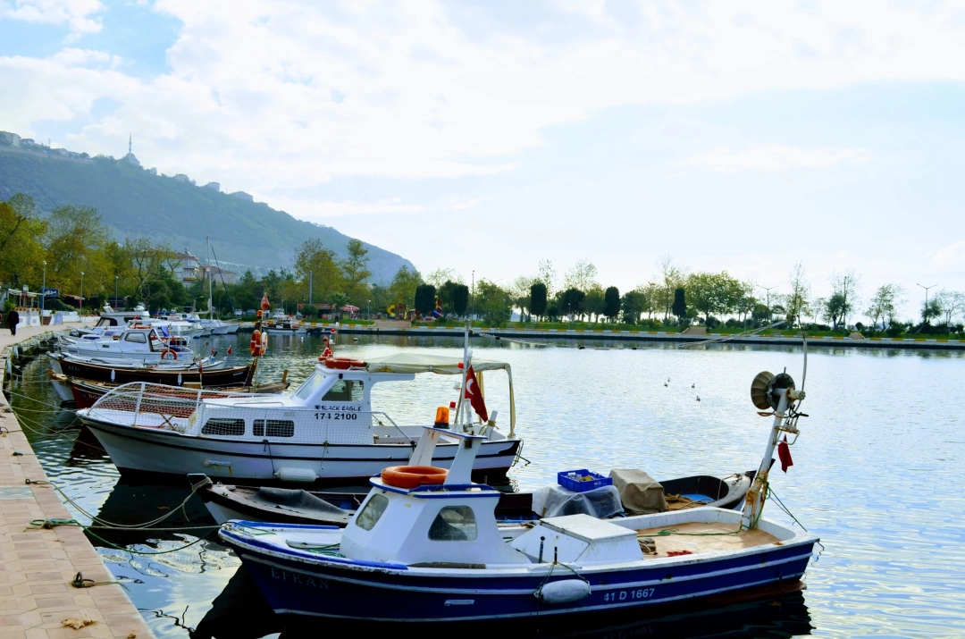 hereke-marina / 6070