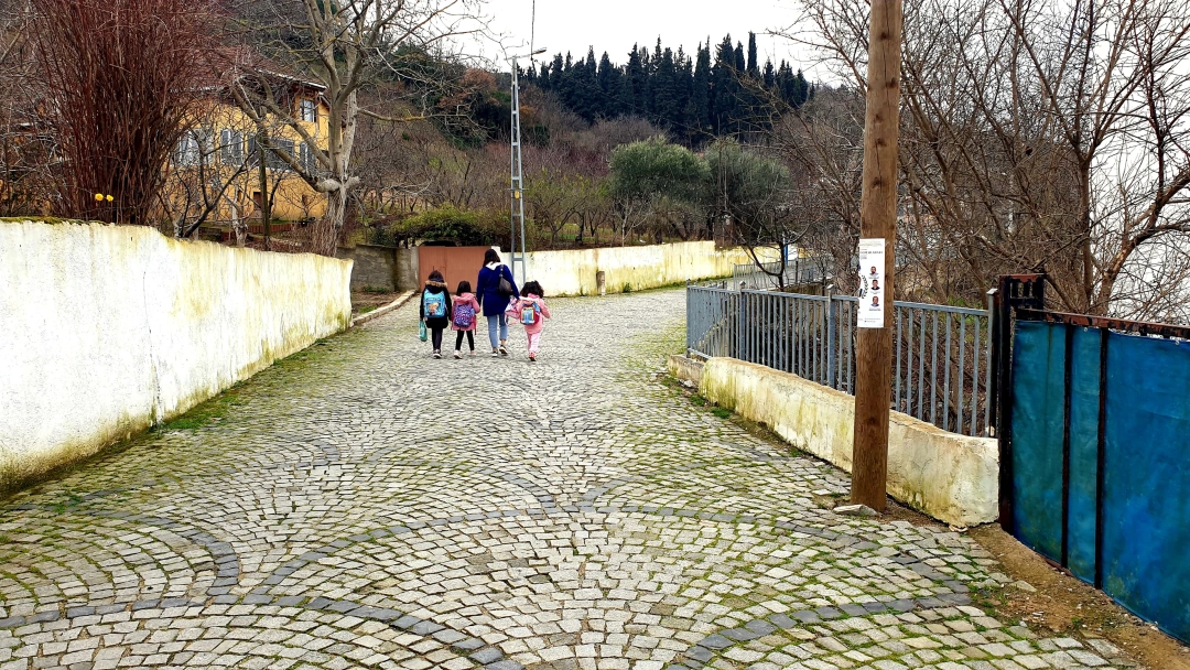 golcuk-sarayli-koyu / 11376