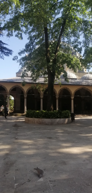 izmit-yenicuma / 12314