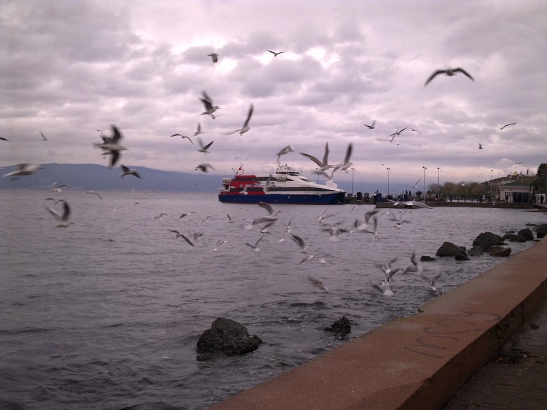 nostarji-karamursel / 7076