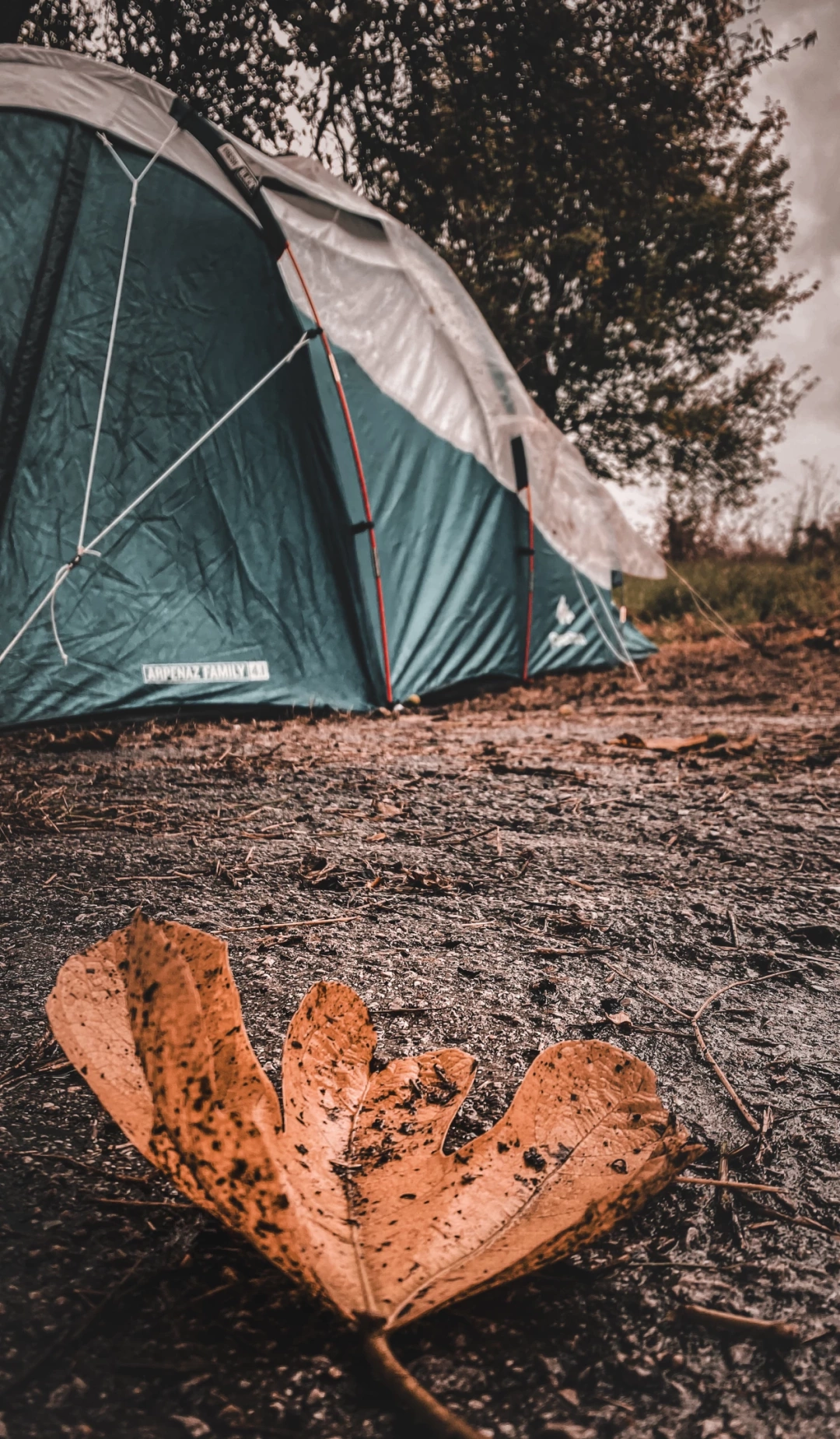 kocaeli-kamp-sevdamizkocaeli / 4081