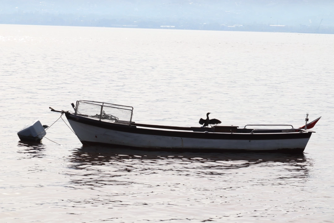 plajyolu-sahil-tekne / 7081