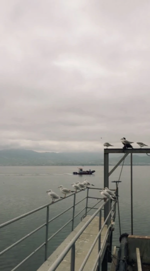 seka-park-izmit-sevdamizkocaeli-kesfet-sahil / 2019