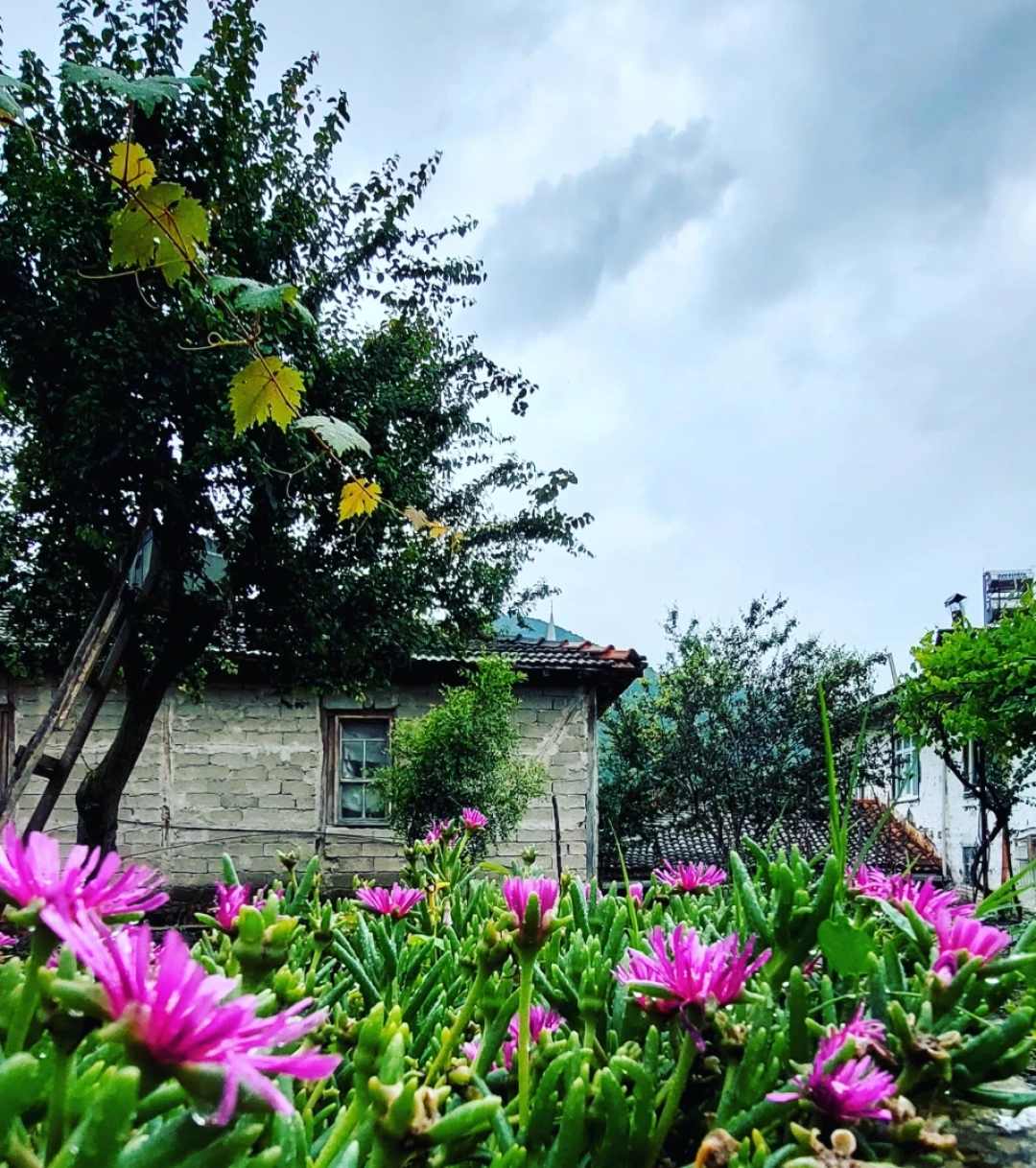 guzel-koyum / 3637