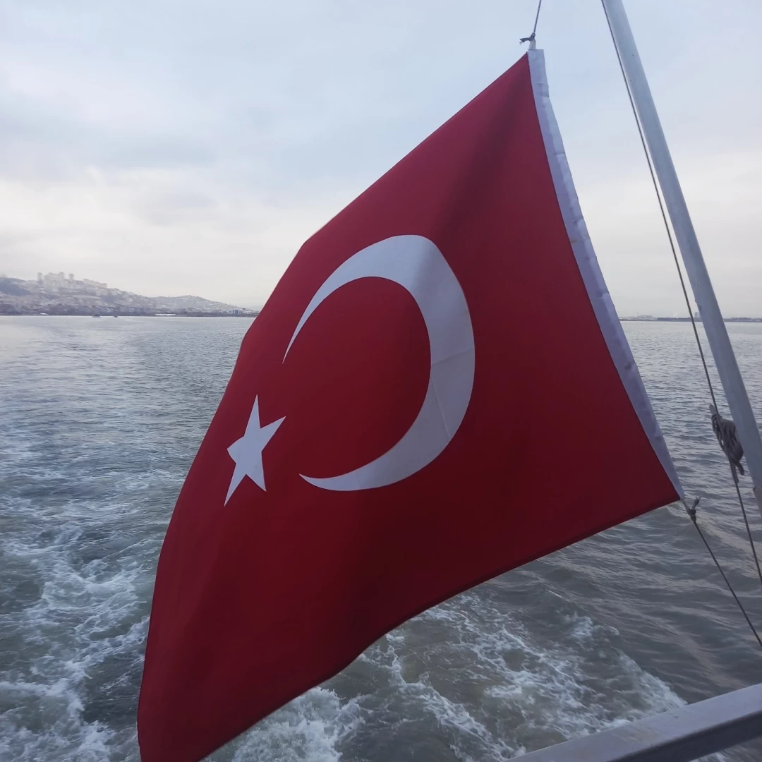 at-kocaeli / 7781