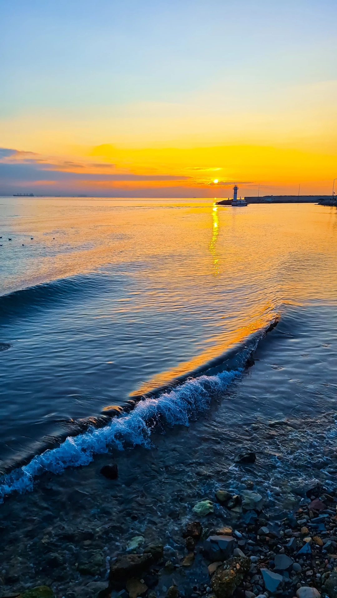 gunbatimi-darica / 16437