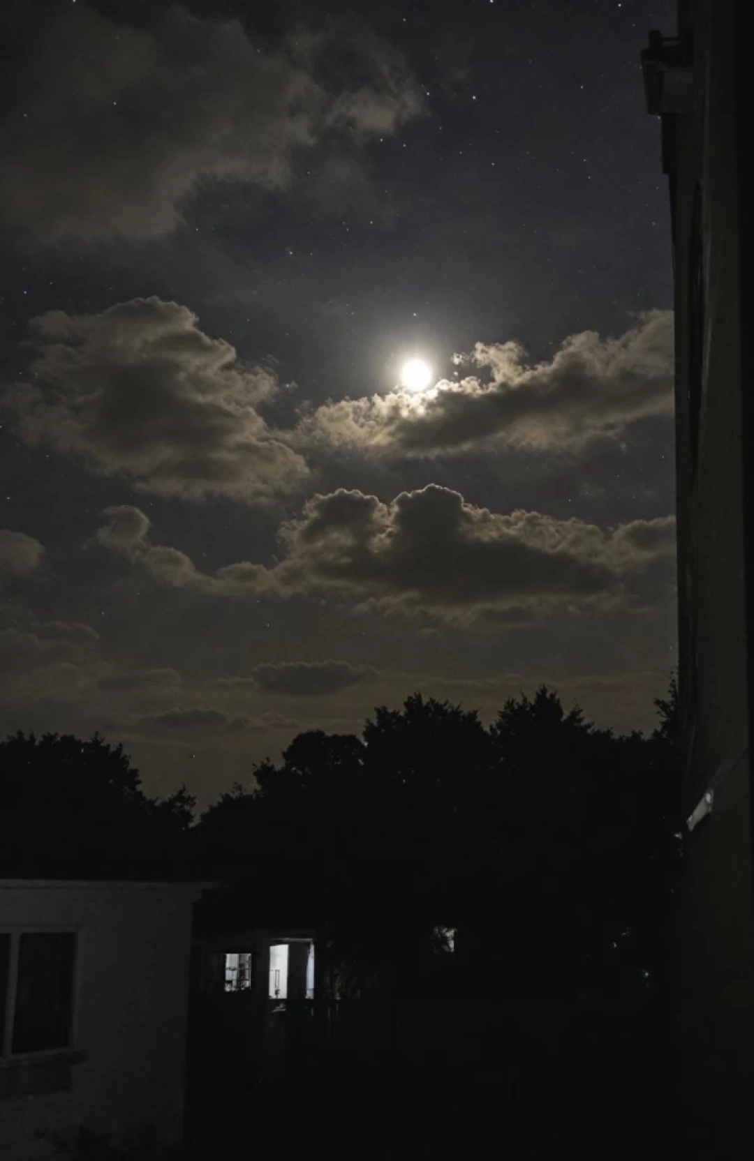 berceste-gece / 15837