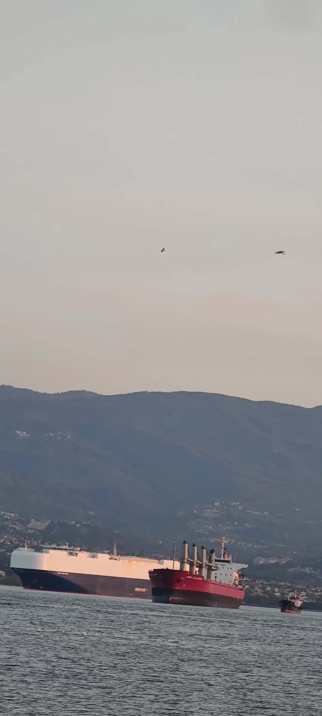 izmit-kocaeli-sevdamizkocaeli-fotograf / 14981