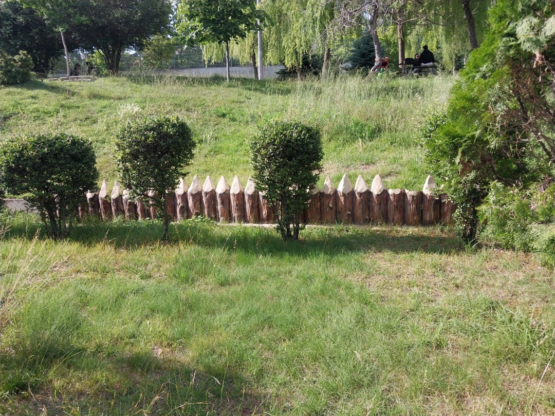 harikalardahili / 14081