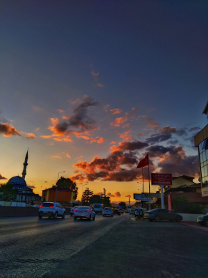 kocaeligolcuk / 5598