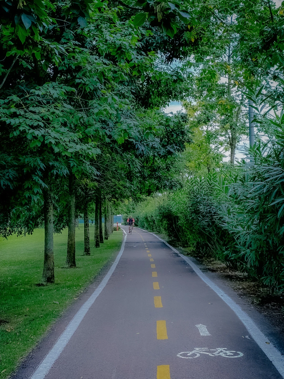 sekapark-sekapark-bisikletyolu / 5472