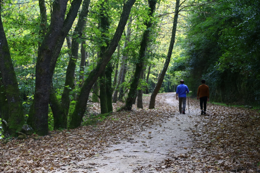 cinarlidere-yuruyus / 5072