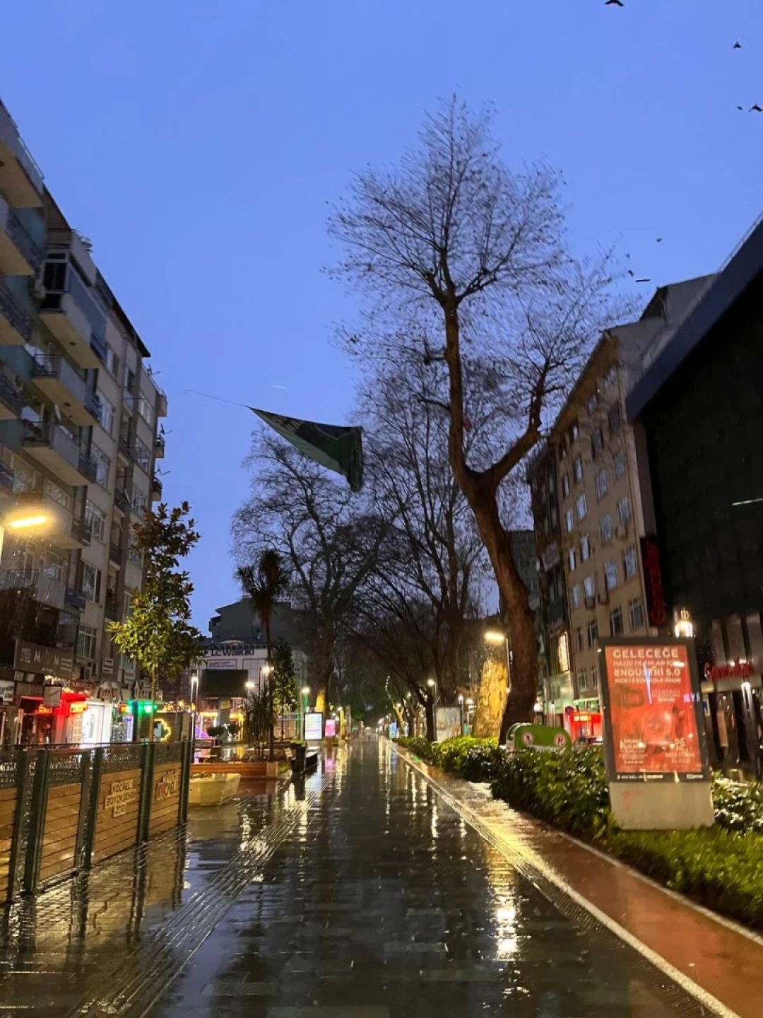 gune-baslarken-yuruyusyolu-izmit-kocaeli-sevdamizkocaeli / 2628