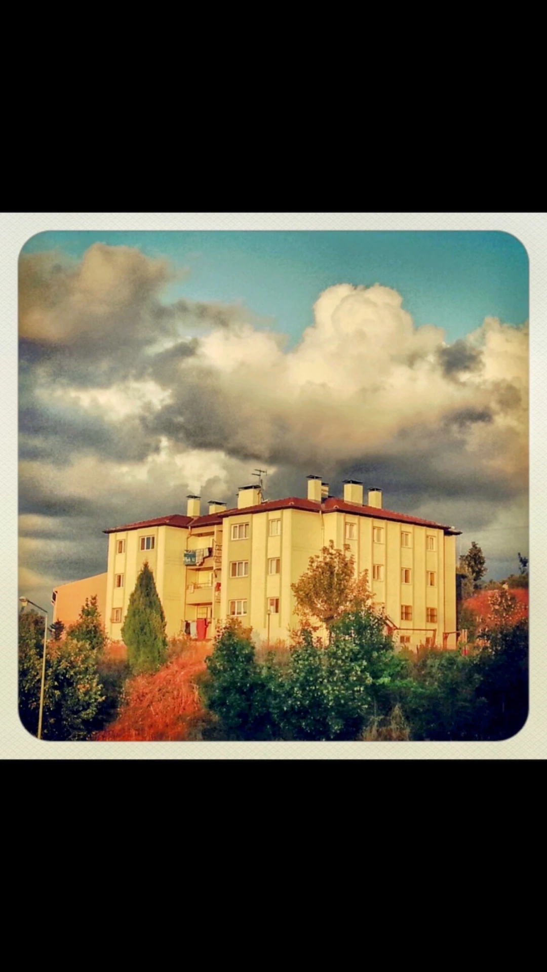 karamursel-kalicikonutlar / 6172