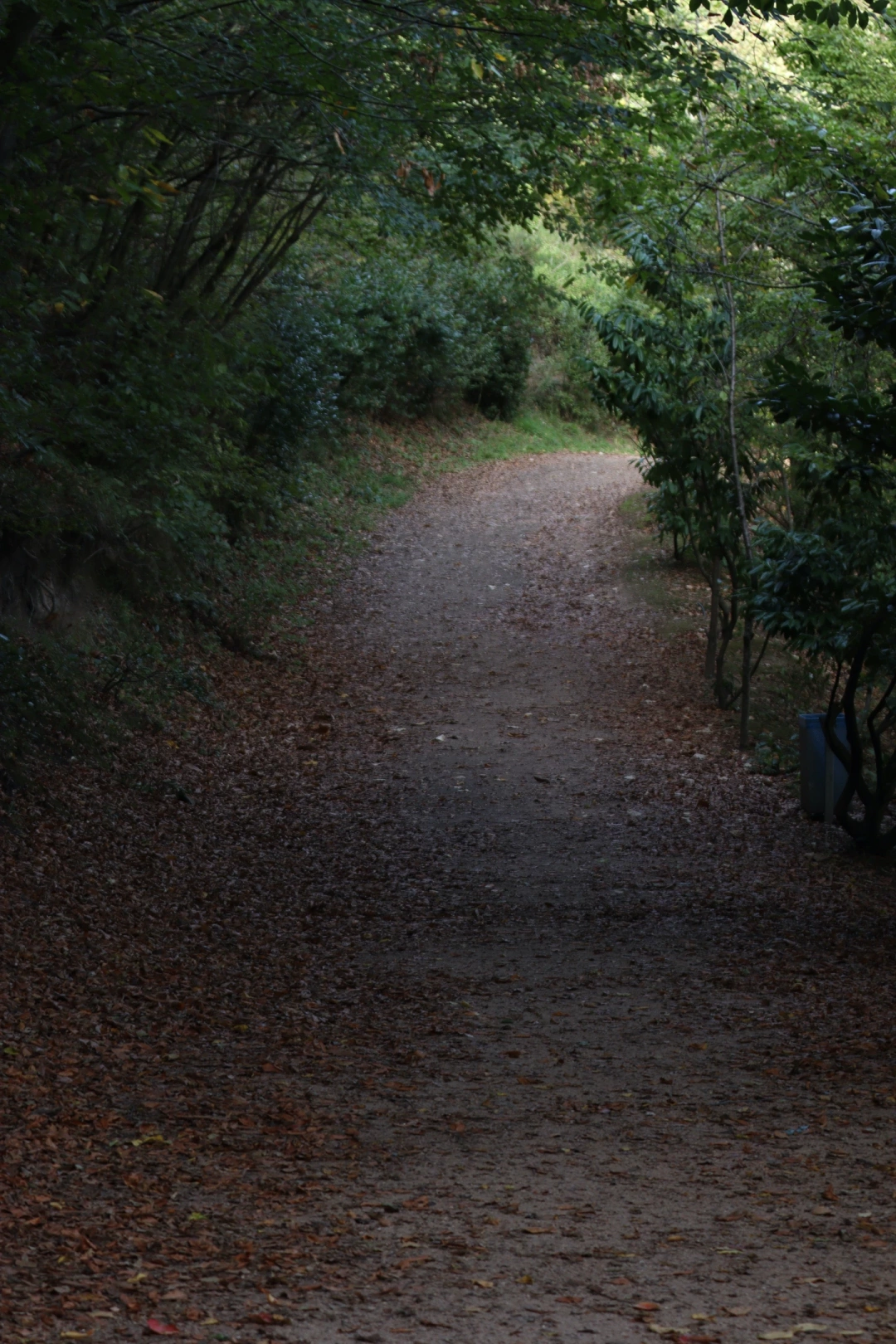 yuvacik-baraji-yuruyus-yolu / 7054