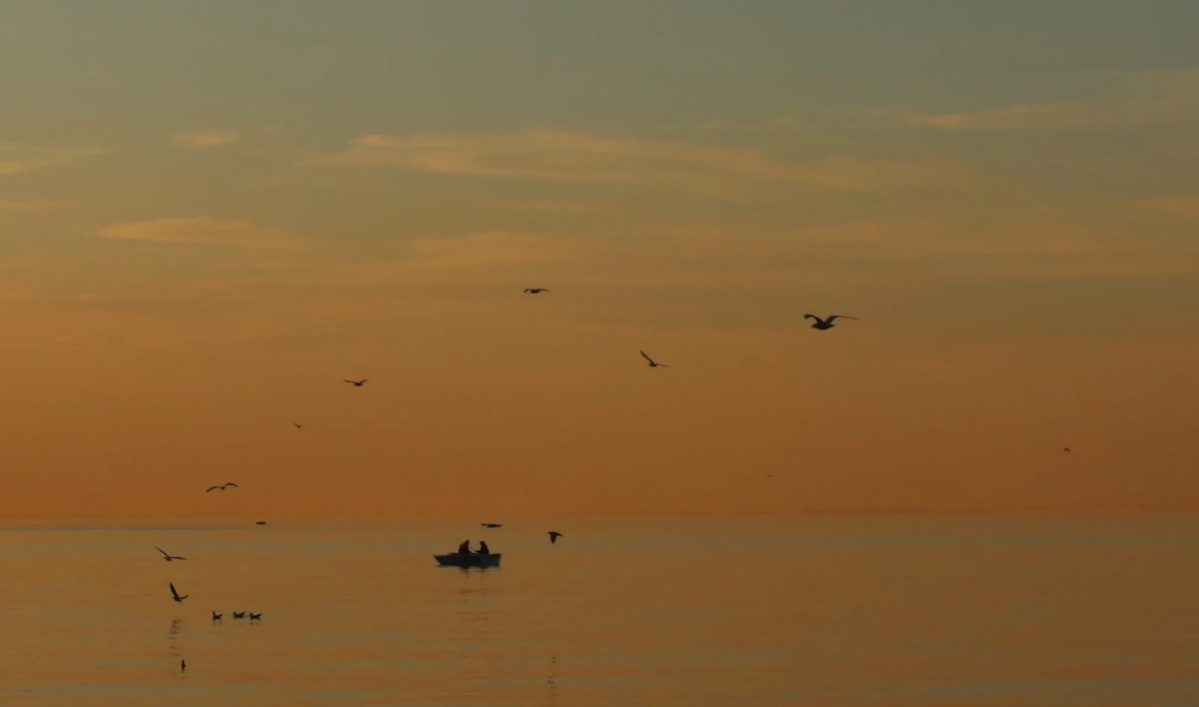 halideresahil-gunbatimi-siluetfotograf / 16498