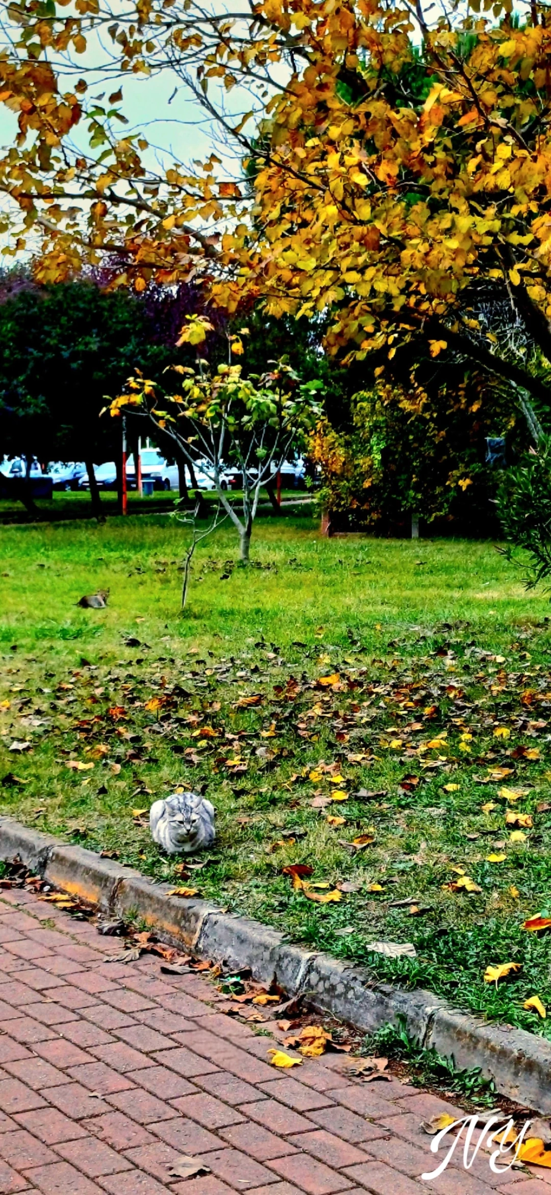 yenikent-derince / 16254