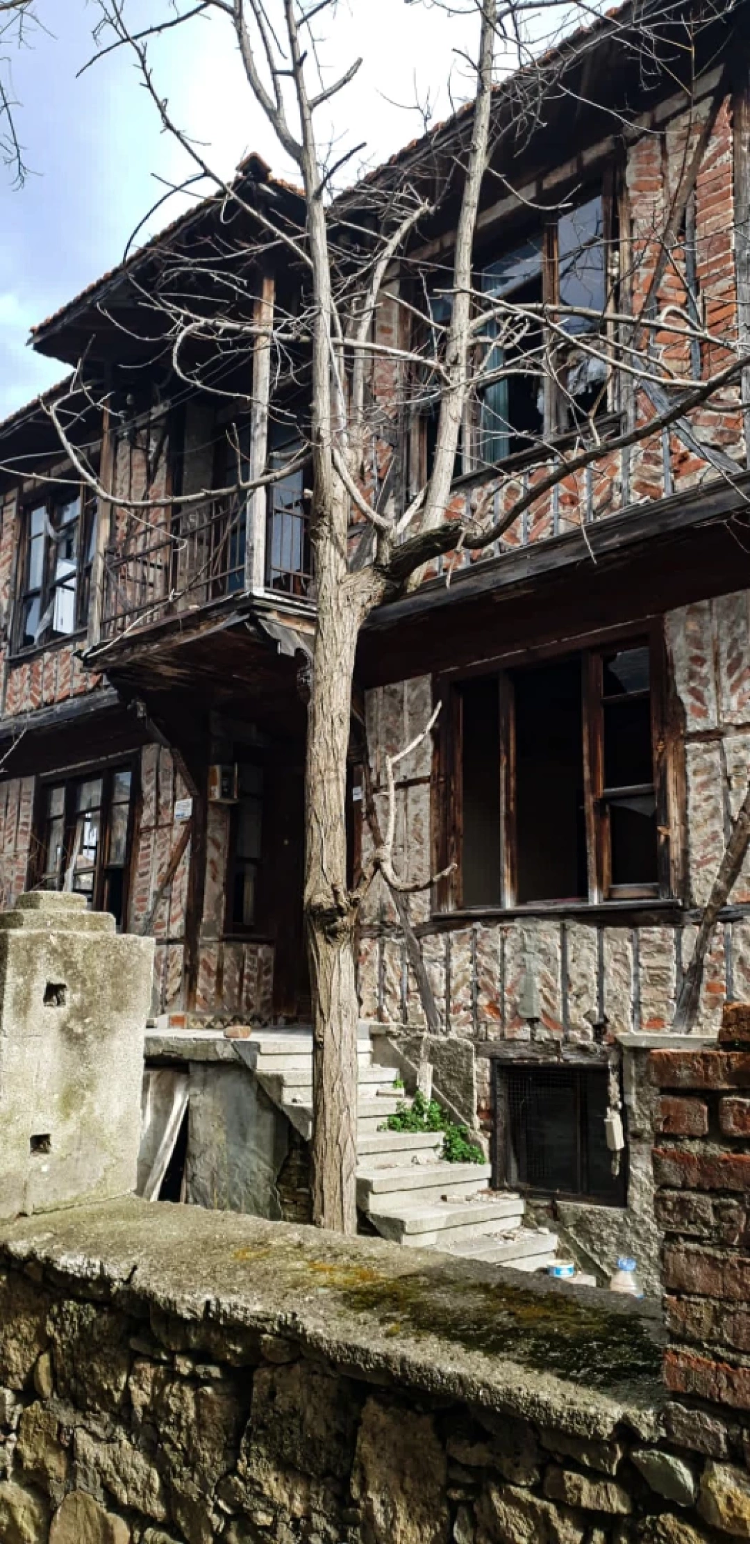 saraylikoyu / 12554
