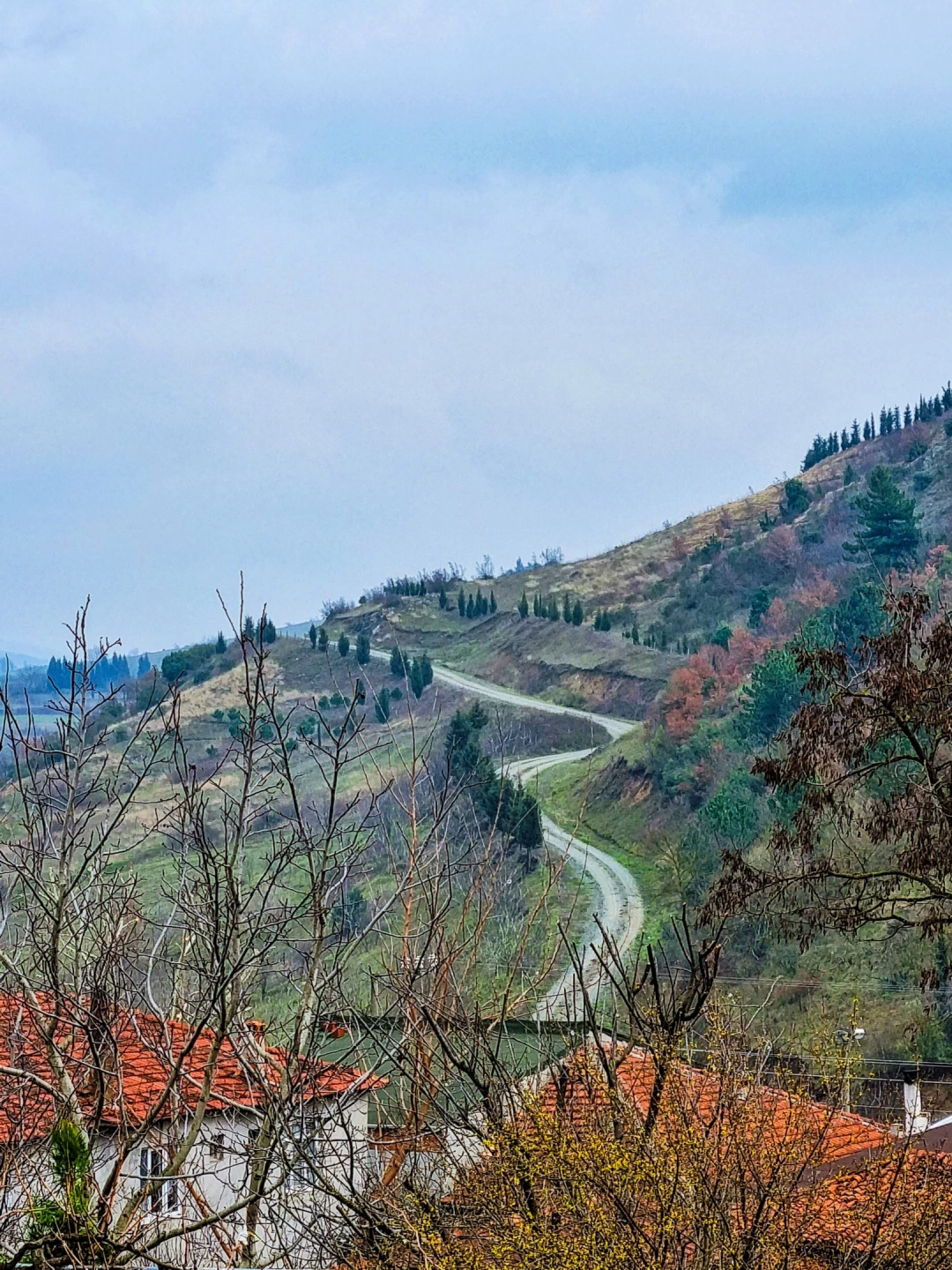 kizderbent-karamursel-kocaeli / 4254