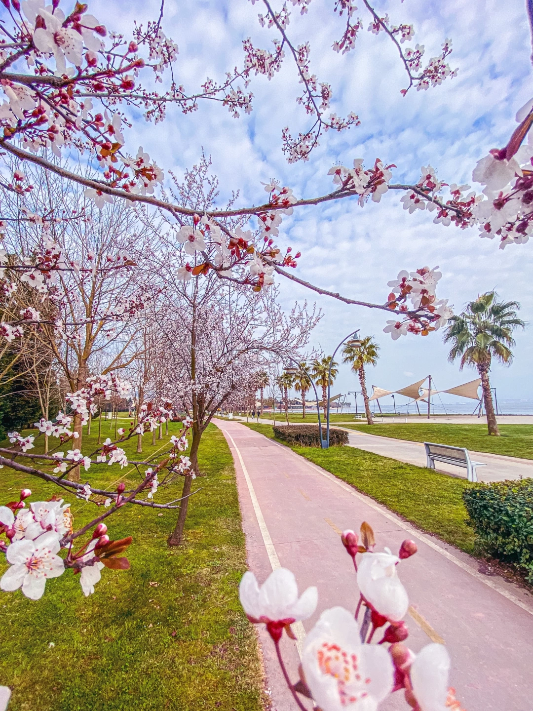 sekaparkta-ilkbahar / 4310