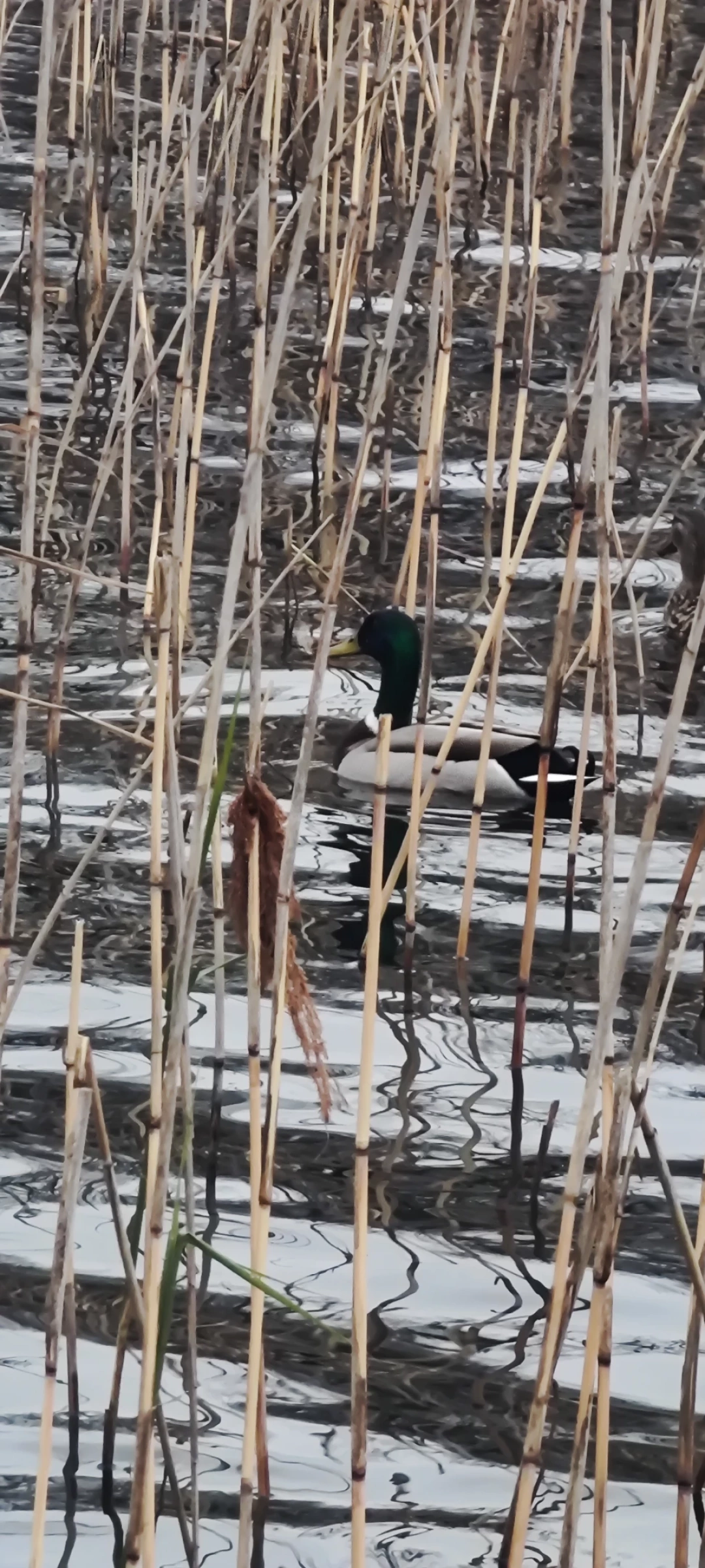 izmit-kocaeli-sevdamizkocaeli-fotograf / 15098