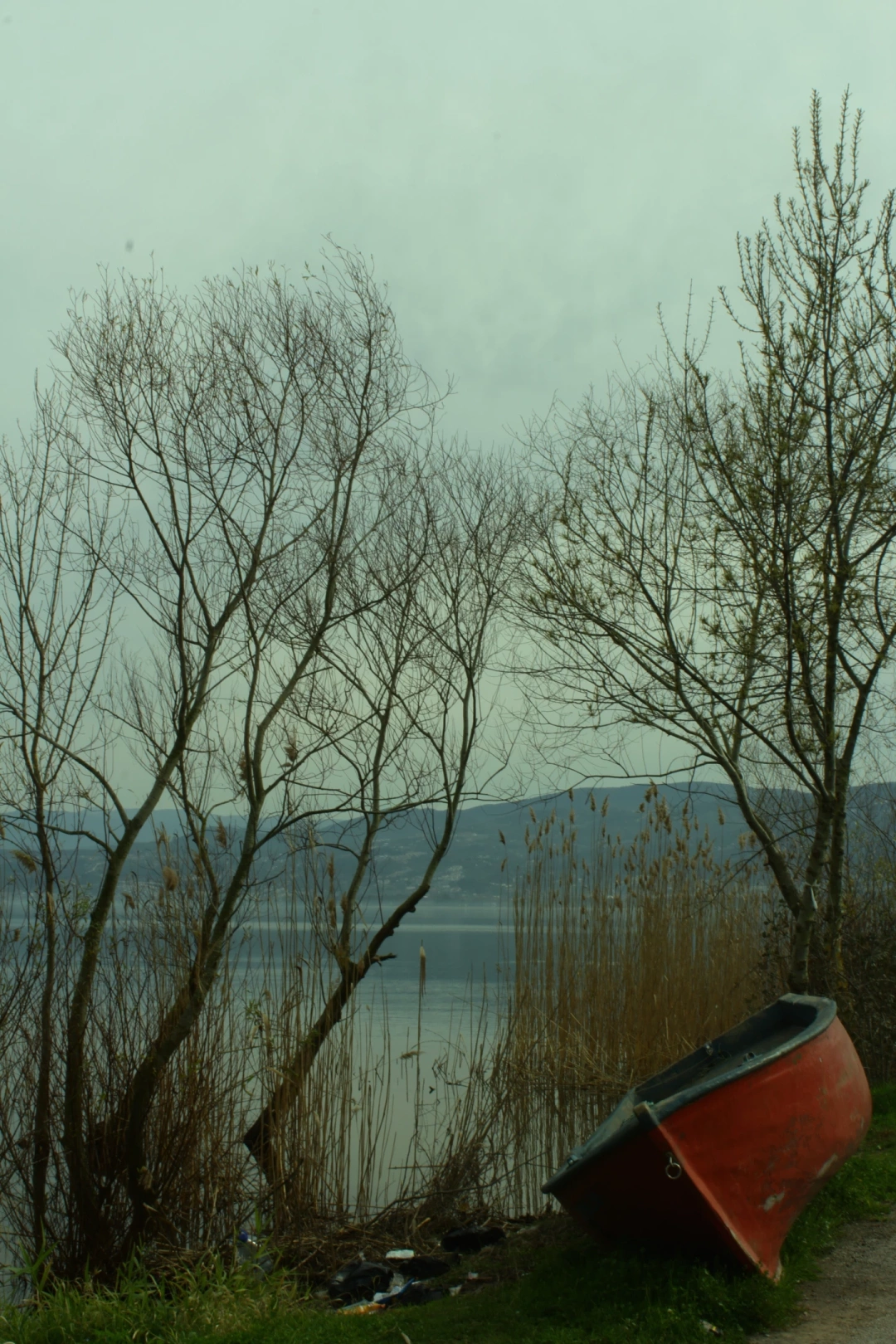 kocaeli-esme / 11098