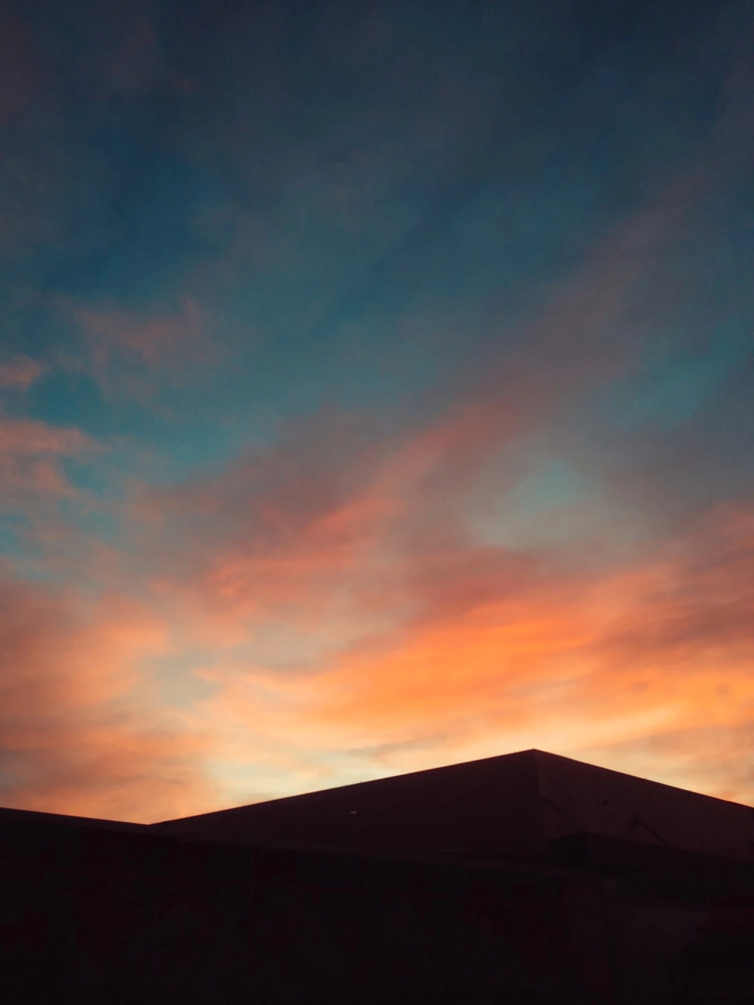 gebzede-sabah-gebze / 9098