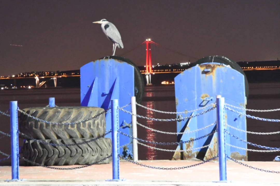 karamursel-osmangazi-karamurselsahil / 9283