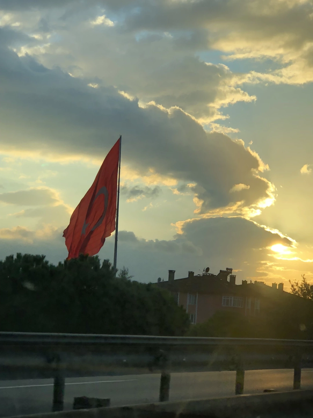 dilovasi / 8139