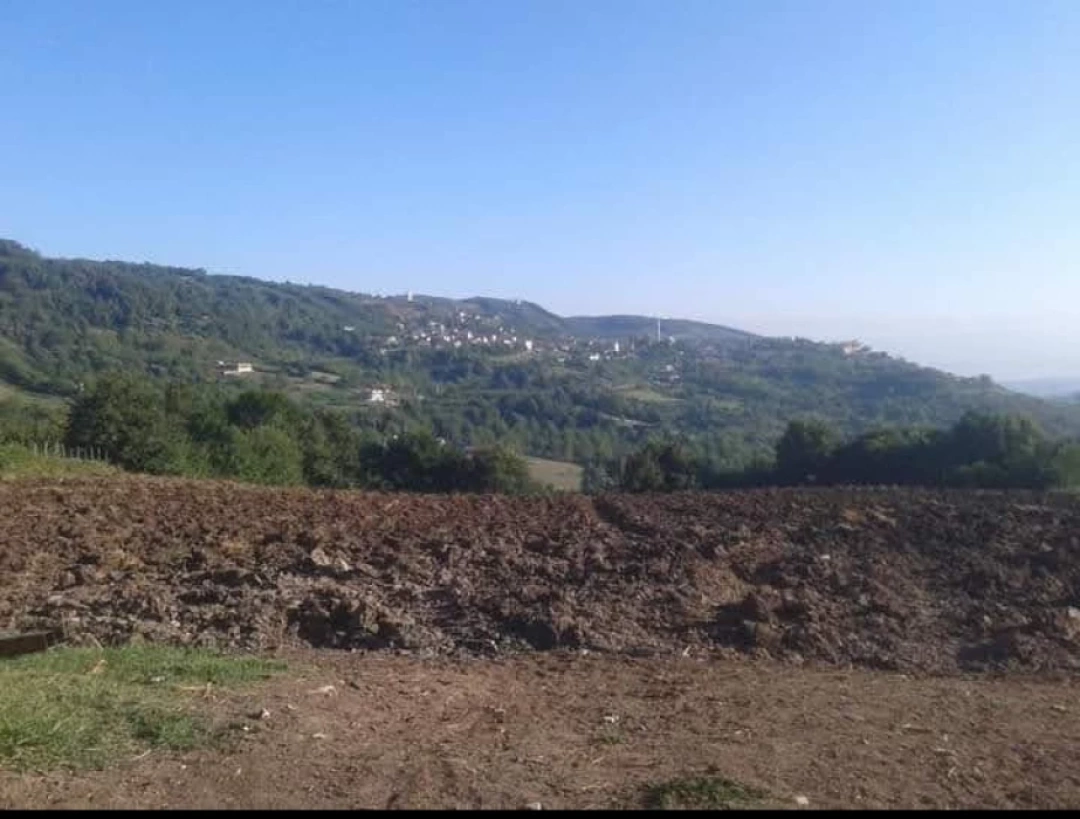 golcuk-hamidiye-koyu-manzarasi-golcuk-koy-manzara-doga / 8083