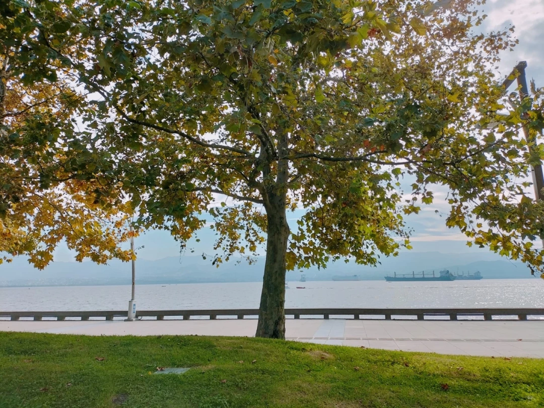 kocaeli-sekapark / 6739
