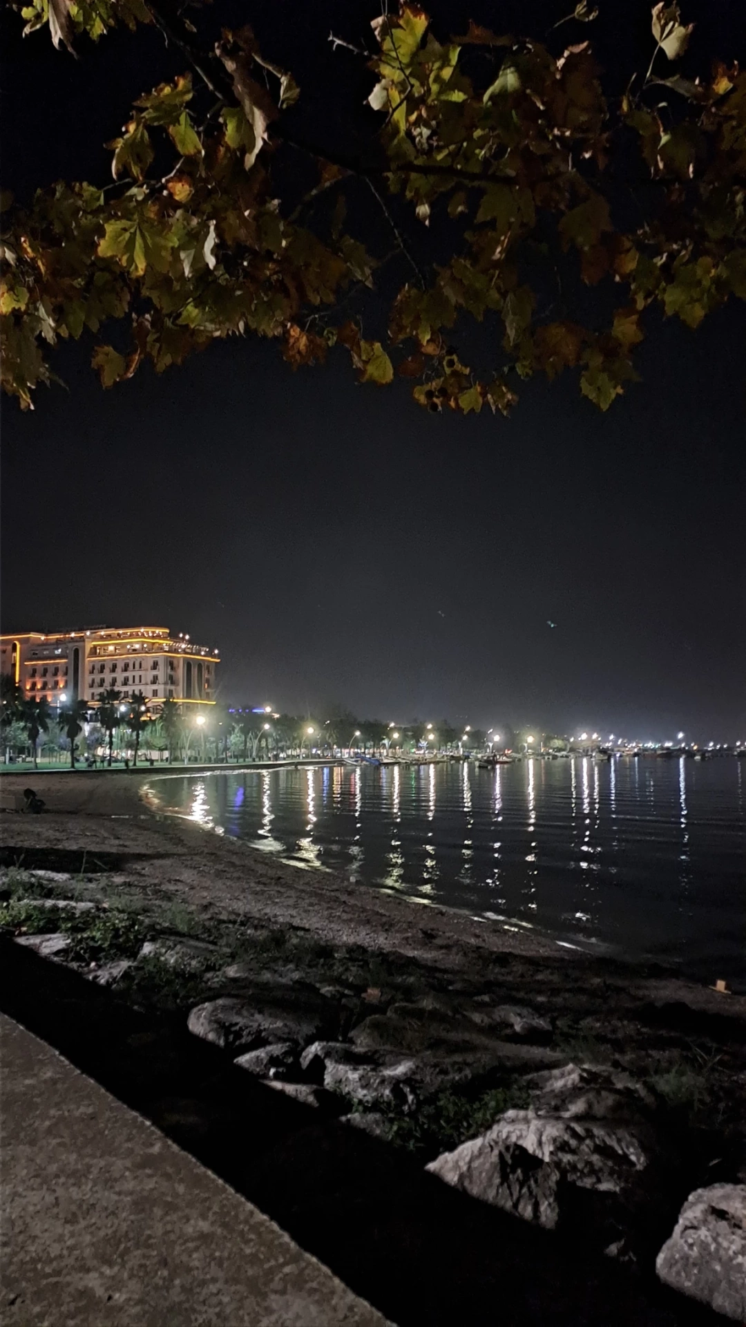 basiskelesahili-resim-gece-manzara-kocaelisevdamiz / 7239