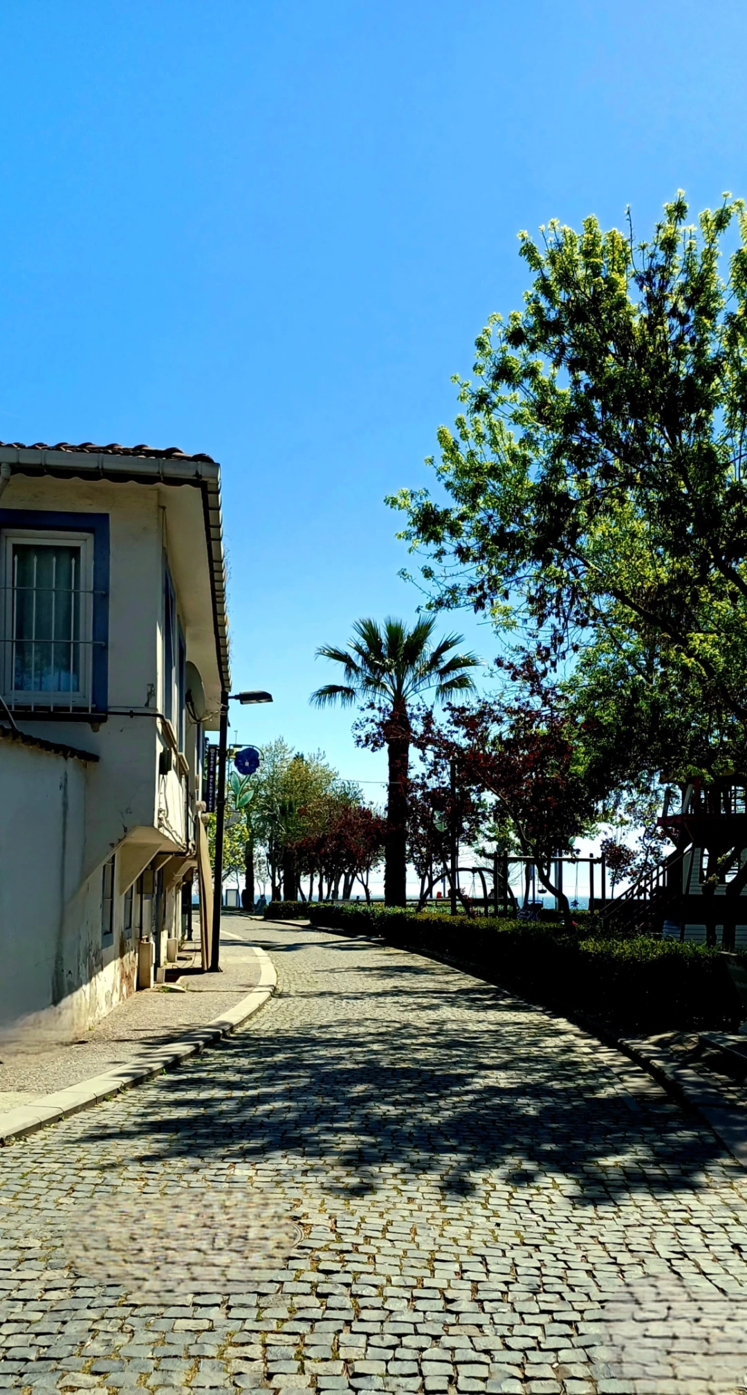 eskihisar-kocaeli / 10239