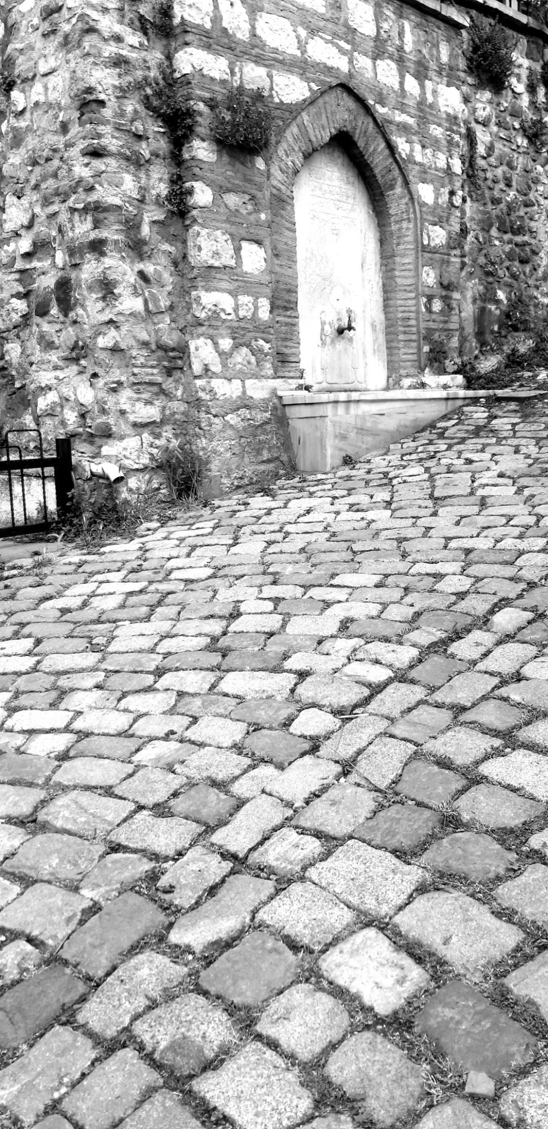 cesme / 11283