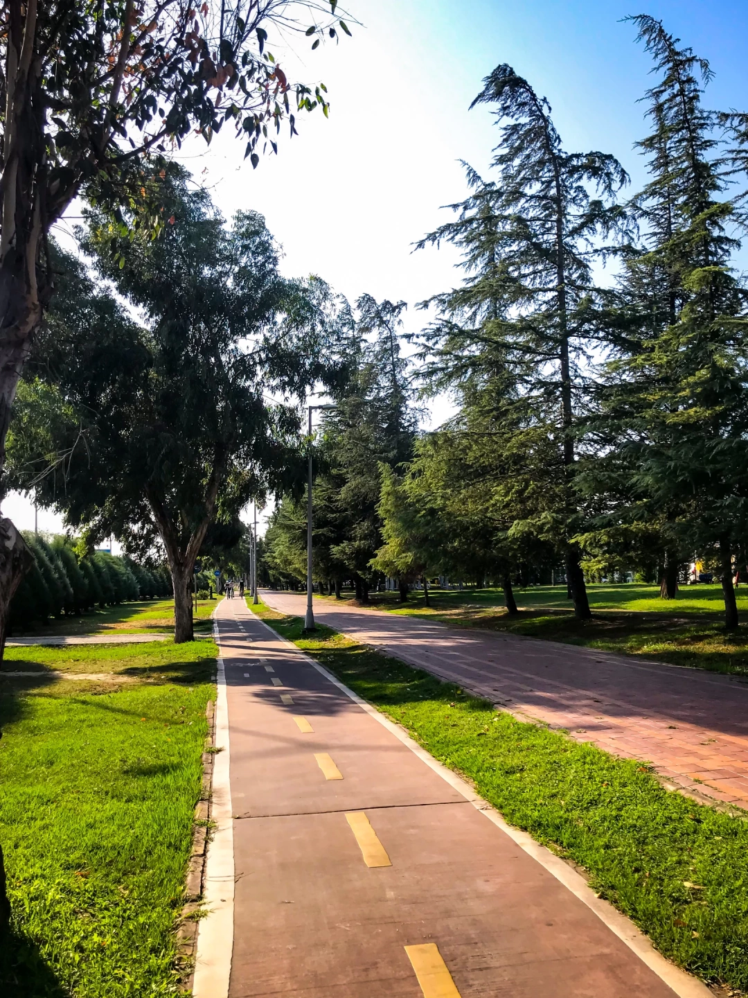 izmit-kocaeli-kopru-izmitcarsi-halkevi-sahil-deniz-korfez / 7495