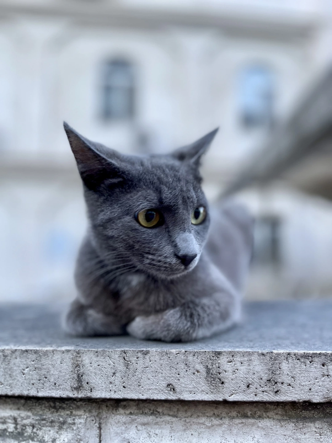 izmit-kocaeli-heykel-izmitcarsi-orduevi-sekapark-kolordu / 2895