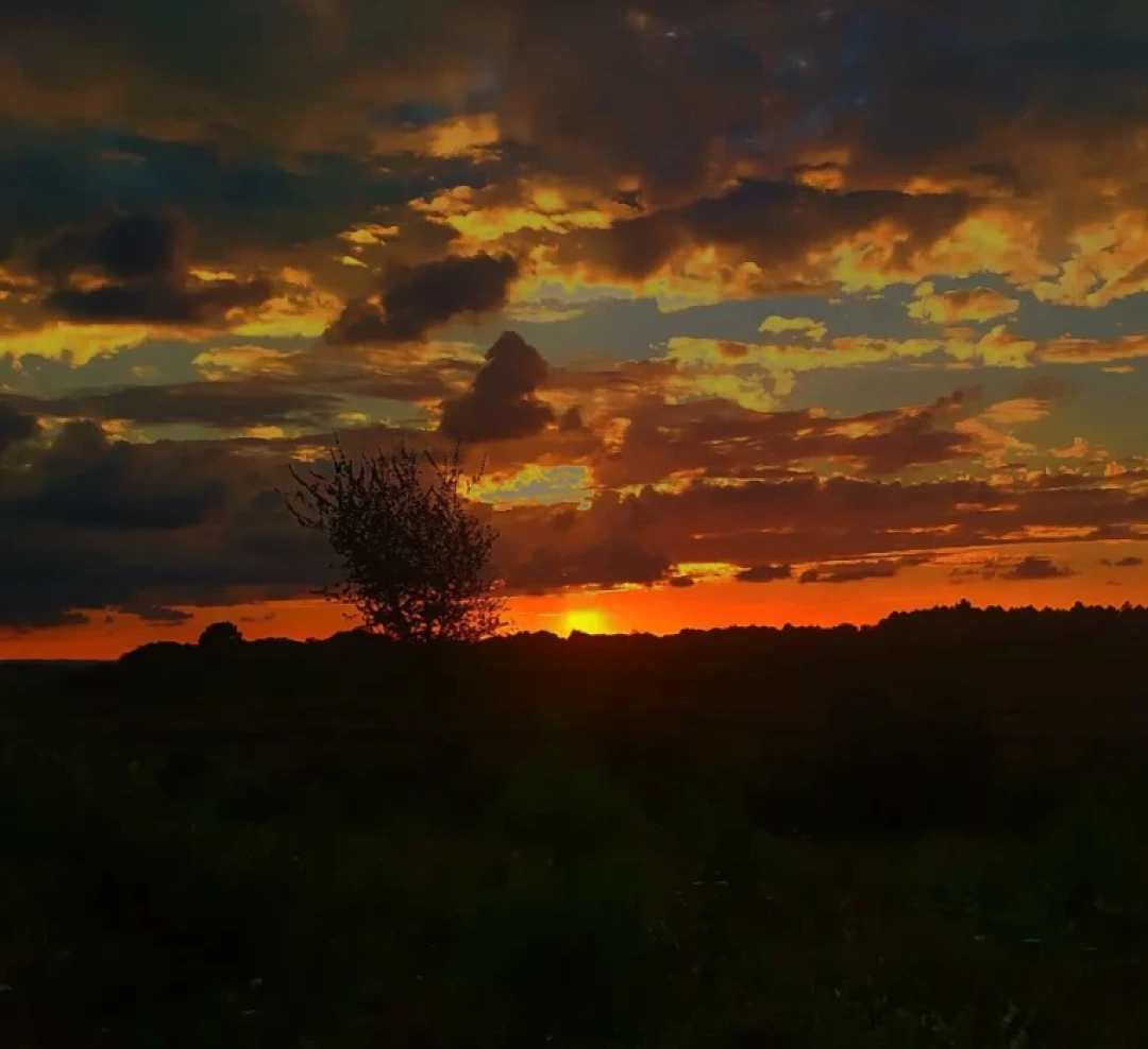 kocaeli-kandira / 16351