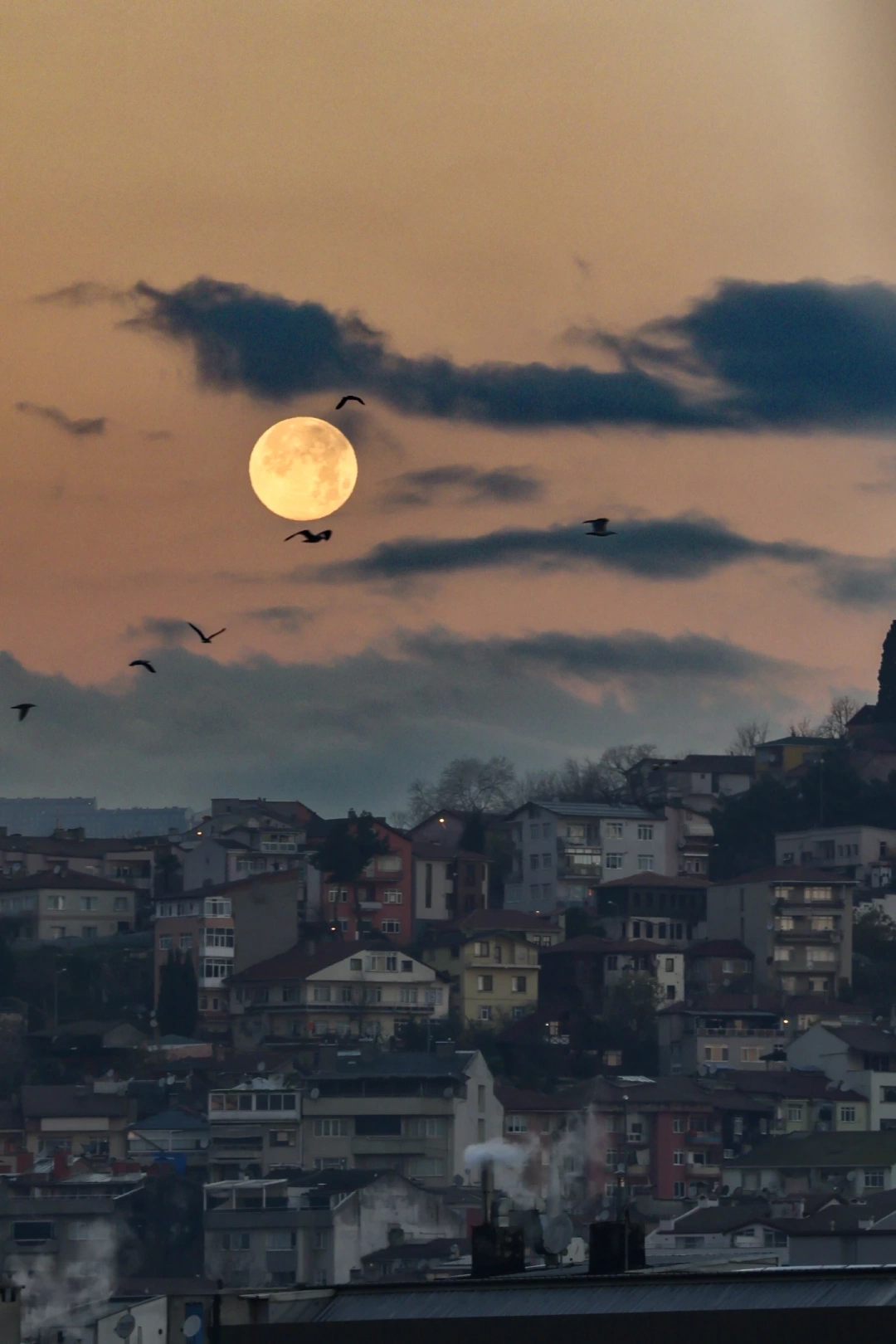 dolunay-yilinsondolunayi / 8207