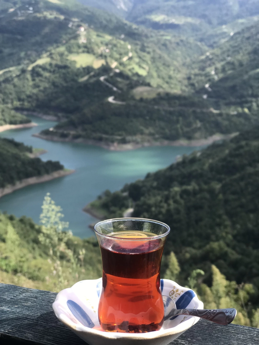 yuvacik-kocaeli-baraj-cay-izmit / 8051