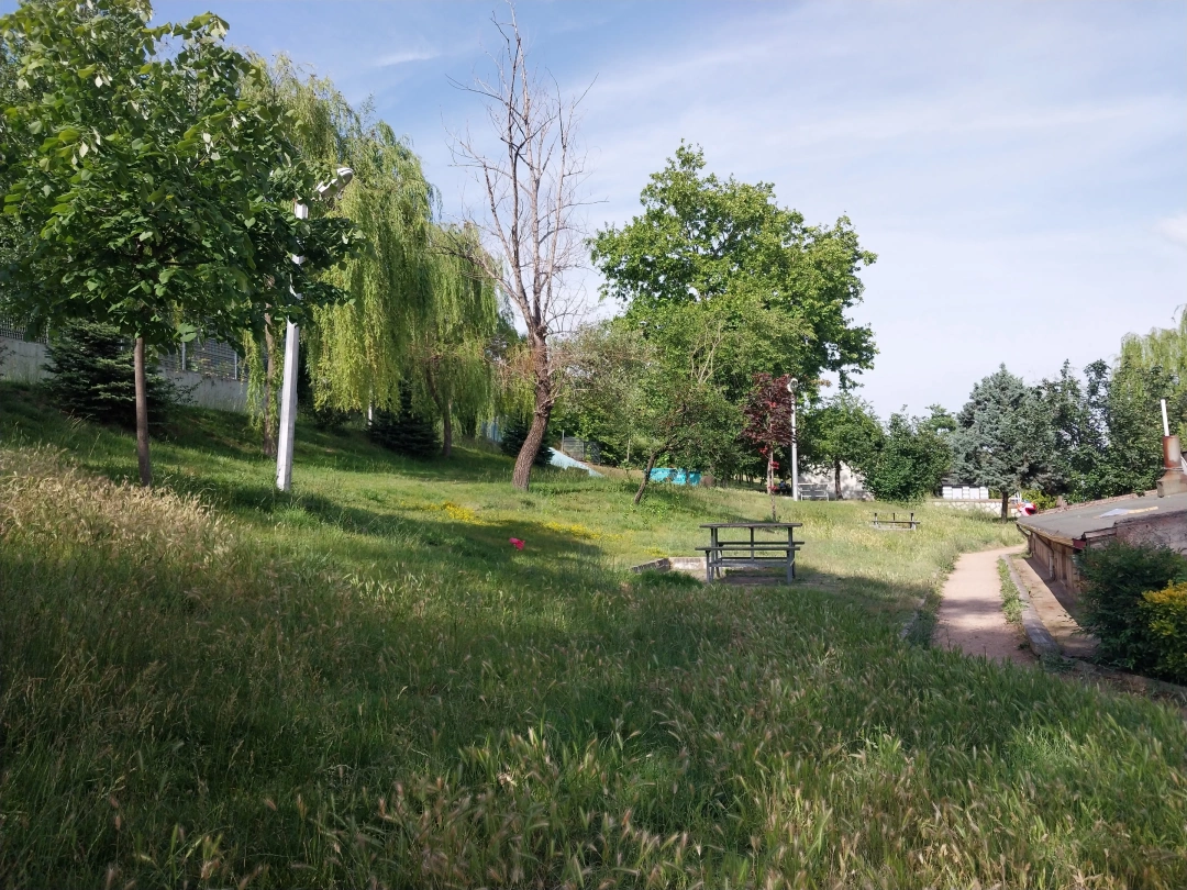 harikalardahili / 14095