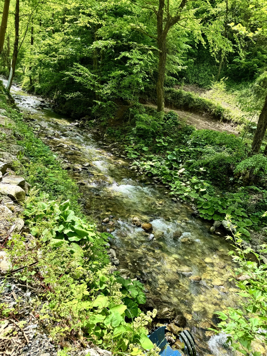 doga-servetiyekoyu-kocaeli / 10651