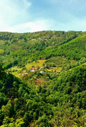 servetiye-koyu-kocaeli / 10833