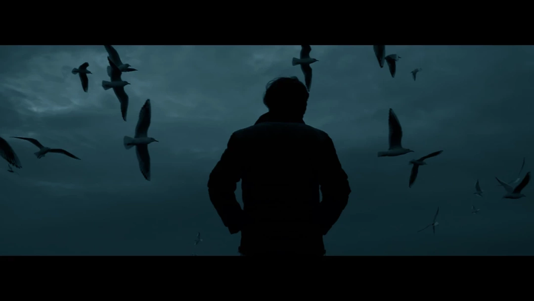 bu-kuslari-senin-icin-gozlerimde-sakladim / 251