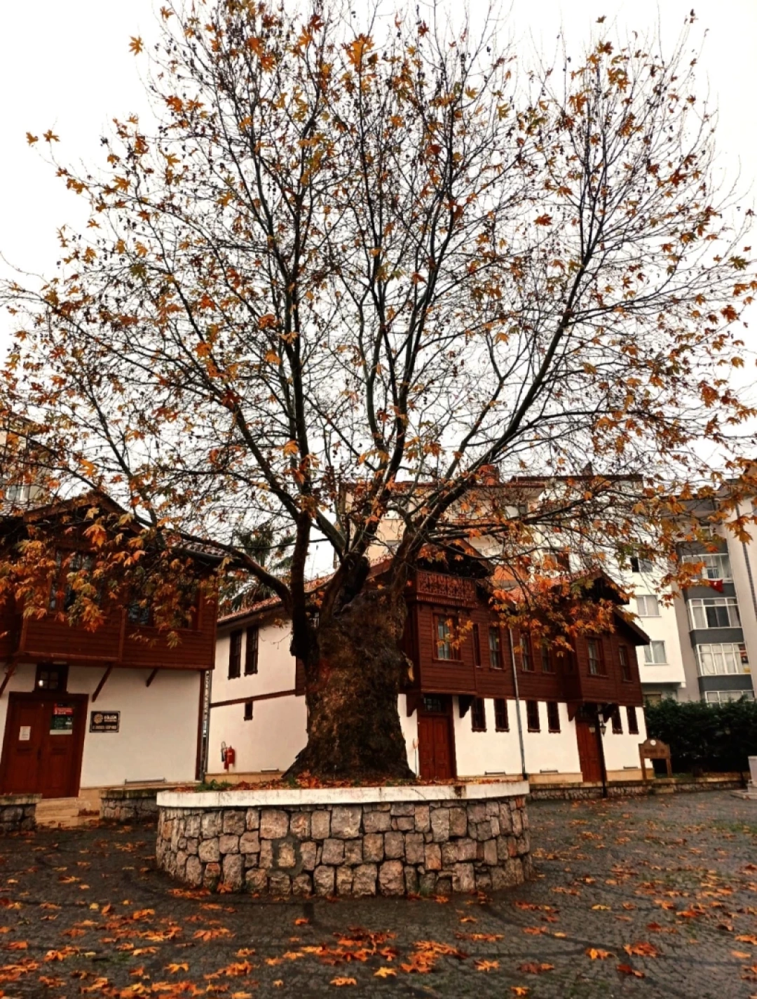 degirmendere-yali-evleri-kocaeli / 10551