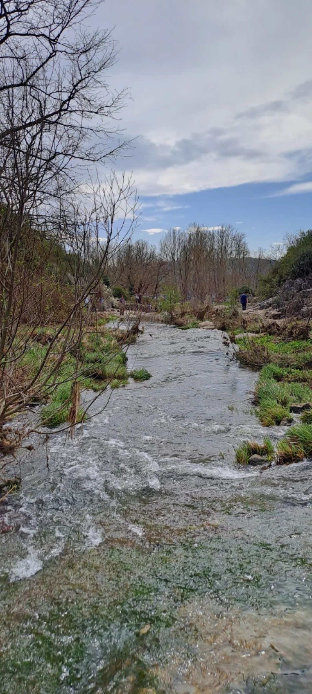 gebze-ballikayalar / 1595