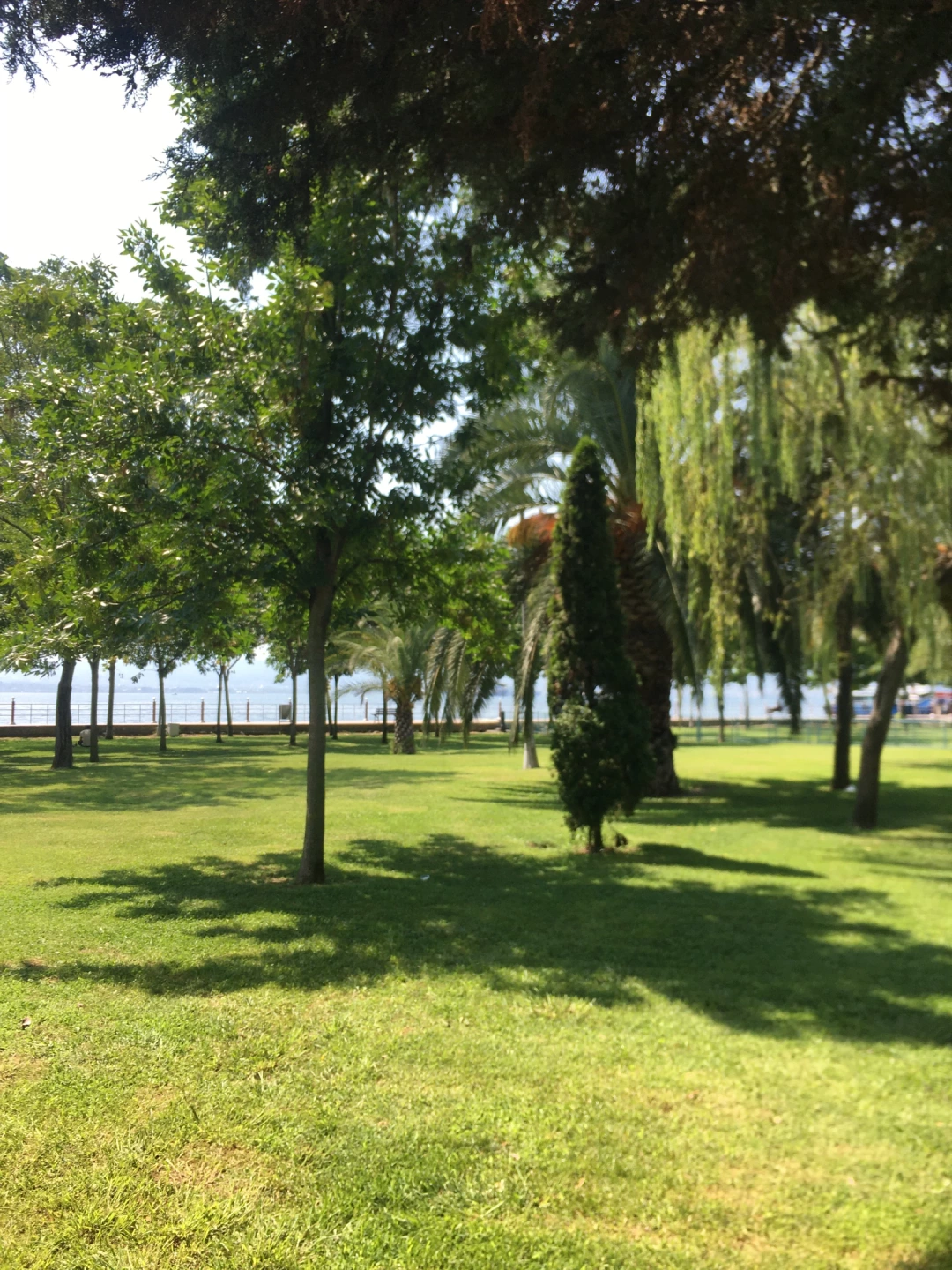 marina-izmit / 7438