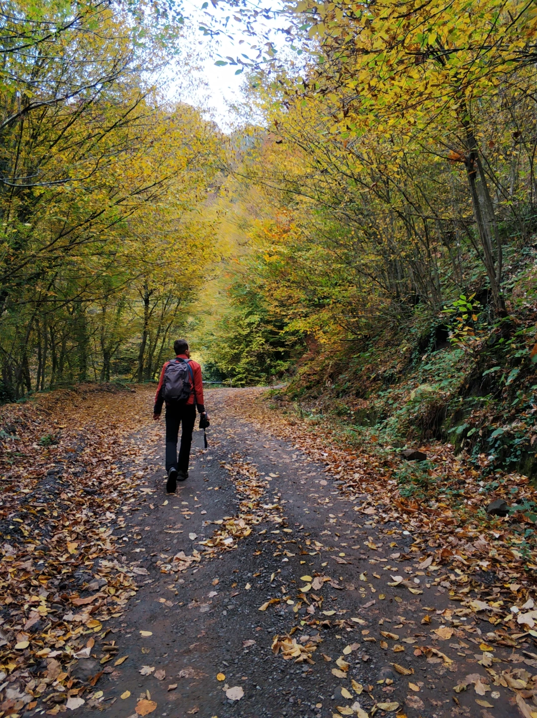 yuvacik-kocaeli-sonbahar / 7538